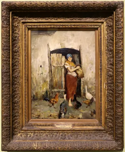Woman feeding poultry