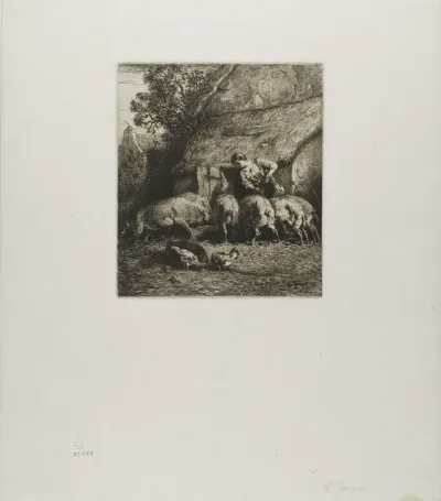 Woman Feeding Six Pigs
