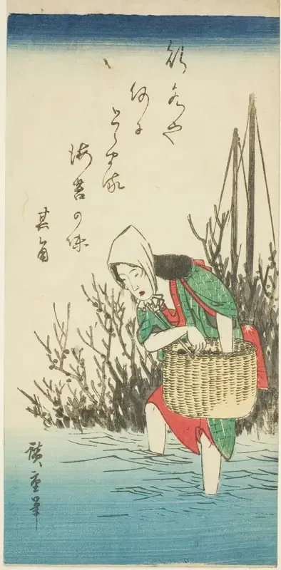 Woman gathering seaweed
