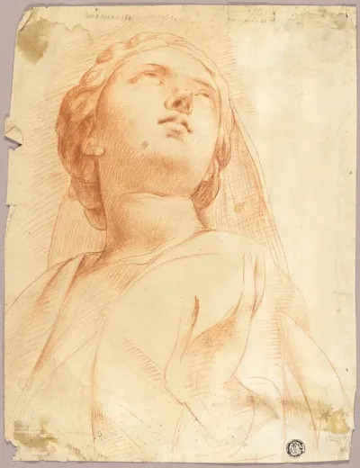 Woman Looking Upwards