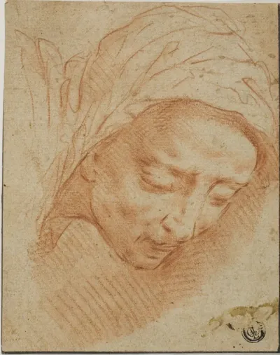 Woman's Head