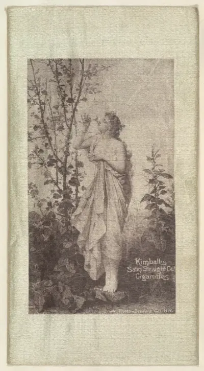 Woman smelling blossom on tree (on green silk), from the Girl Art Subjects series (N193) issued by Wm. S. Kimball & Co.