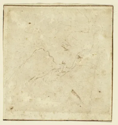 Woman's Head