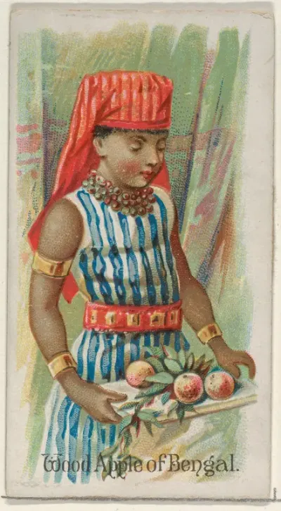 Wood Apple of Bengal, from the Fruits series (N12) for Allen & Ginter Cigarettes Brands