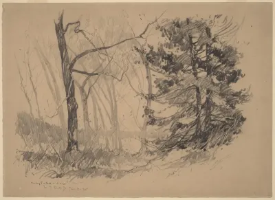 Wood Interior