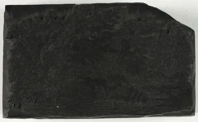 Woodblock for Man Fishing Under a Tree with Waterfall