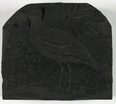 Woodblock for The Great Plover, from A History of British Birds