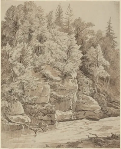 Wooded Cliffs along a Stream