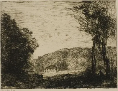 Wooded Countryside