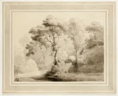 Wooded Landscape