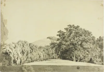 Wooded Landscape