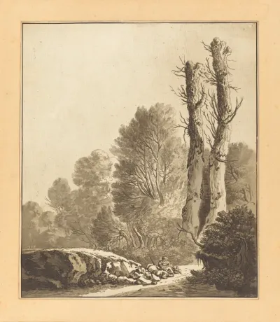 Wooded Landscape