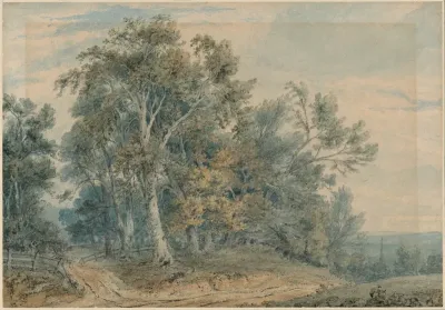 Wooded Landscape