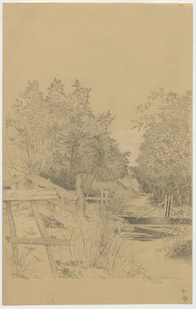 Wooded landscape behind a fence
