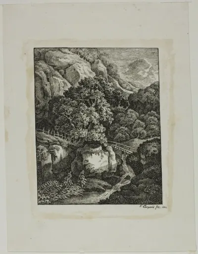 Wooded Mountain Landscape with a Small Waterfall and Pathway