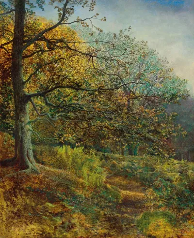 Woodland near Leeds