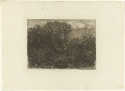 Woodland Pond