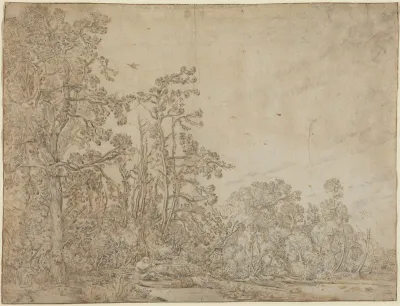 Woodland Pond with a Fisherman
