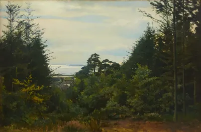 Woodland scene.