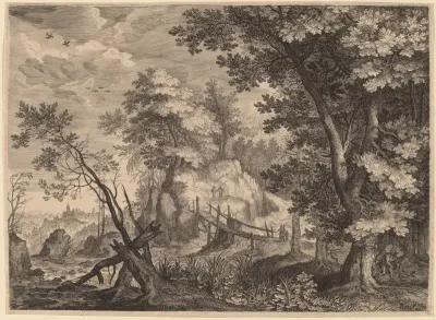 Woodland Scene