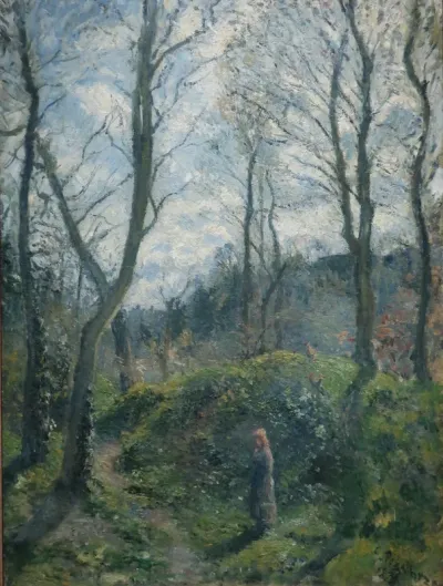 Woodland scene. Spring