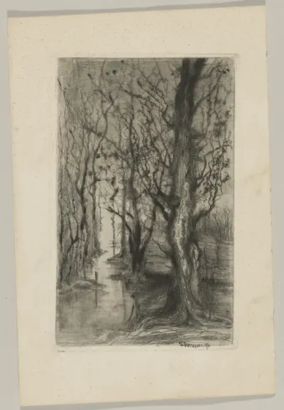 Woodland with a Stream Running Through