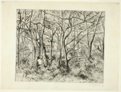 Woodlands at the Hermitage