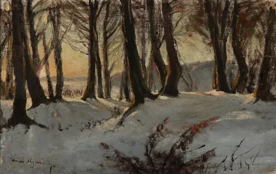 Woodlands in winter.