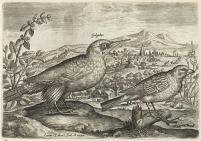 Woodpecker and Bunting