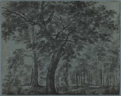 Woods at Night with Travelers