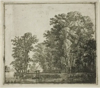 Woods Near a Canal