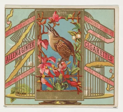 Wren, from the Birds of America series (N37) for Allen & Ginter Cigarettes