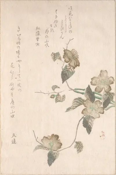 Yamabuki Flowers (kerria japonica)