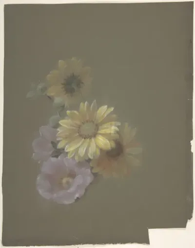 Yellow Daisies and Pink Wild Rose