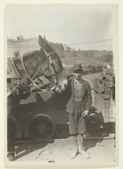 Young Driver In West Virginia Coal Mine