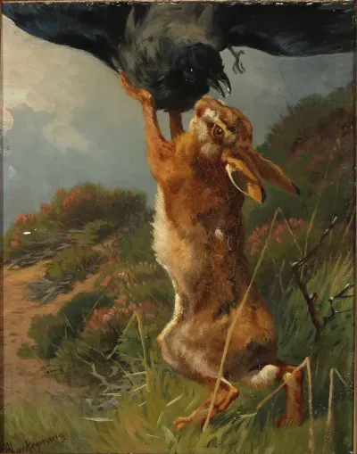 Young hare attacked by a crow