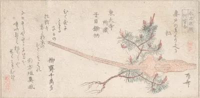 Young Pine Tree and Handle of a Plow