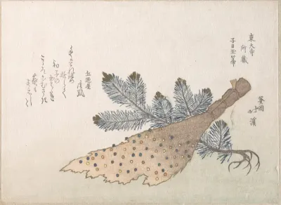 Young Pine Tree and Jeweled Broom