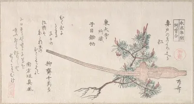 Young Pine Tree and the Handle of a Plow