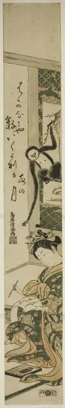 Young woman and gibbon
