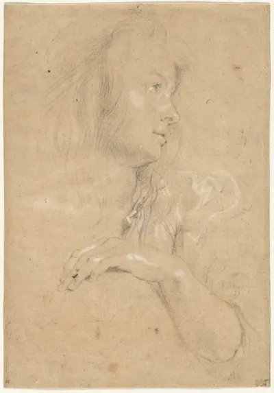Young Woman in Profile