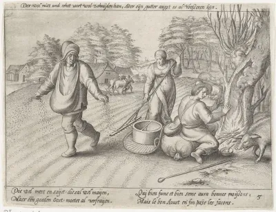 Zaaien op het land