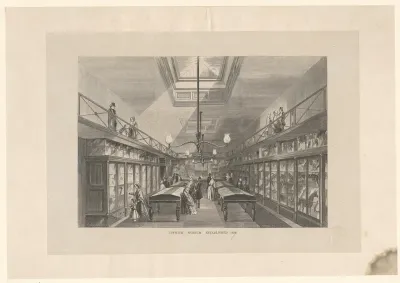 Zaal in het Ipswich Museum