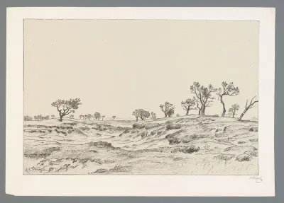 Zandduinen in Drenthe