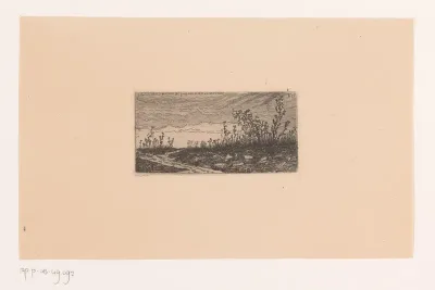 Zandpad door het veld