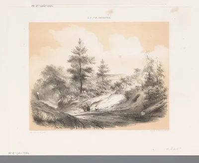 Zandweg door heidelandschap