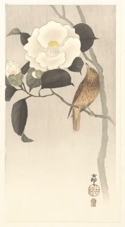 Zangvogel en bloeiende camellia