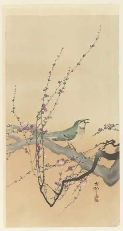 Zangvogel en pruimenbloesem.