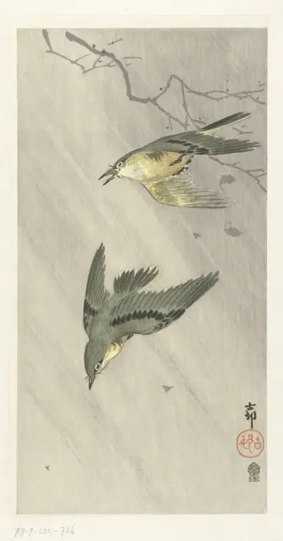 Zangvogels in regen