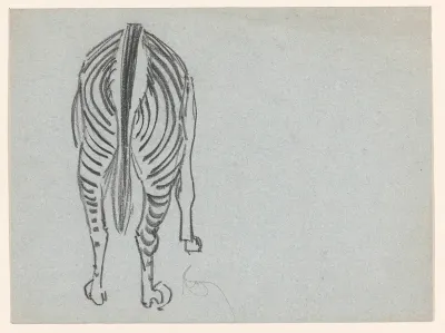 Zebra, van achteren